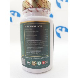 Swiss Pharmaceuticals STENABOLIC (SR9009) 60caps | S4M