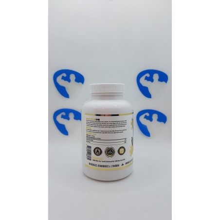 Hammer Labz Shred GW 60caps Supplements | Supplements4muscle