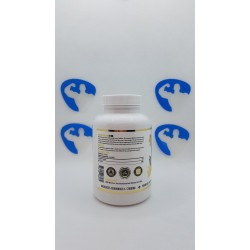 Hammer Labz Shred GW 60caps Supplements | Supplements4muscle