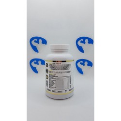 Hammer Labz PCT V3 60caps Supplements | Supplements4muscle