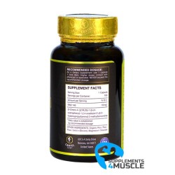 Cartel Labz Rad-140 Testolone 100cap Ergänzungen | S4M