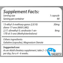Arcas Nutrition Faster 90 Kapseln Nahrungsergänzungsmittel | S4M