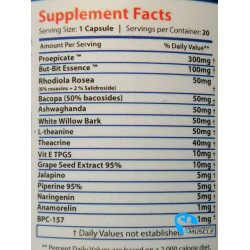 Core Labs X BPC-157 20 caps Supplements | Supplements4muscle