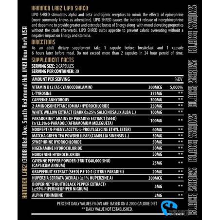 Hammer Labz Lipo Shred DMHA 60 caps Suplementos | S4M