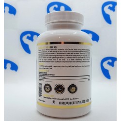Hammer Labz Yohimbine HCL 10mg 100 caps Supplements | S4M