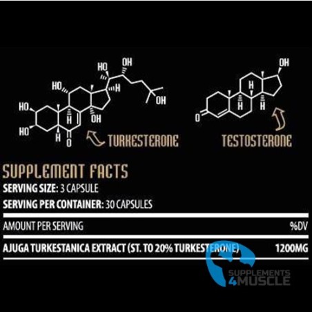 Hammer Labz TURK XXL 90 caps Integratore | Supplements4muscle