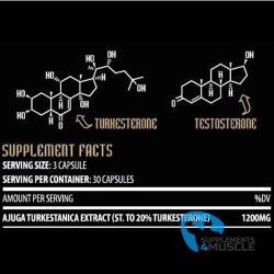 Hammer Labz TURK XXL 90 caps Integratore | Supplements4muscle