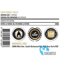 Hammer Labz X-Tren 60 caps Integratori | Supplements4muscle