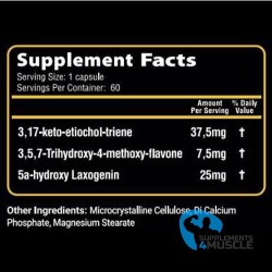 Phoenix OFF II Cycle PCT Hardcore 60 caps Supplements | S4M