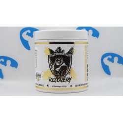 Hammer Labz EAA Recovery 405 g Nahrungsergänzungsmittel | S4M