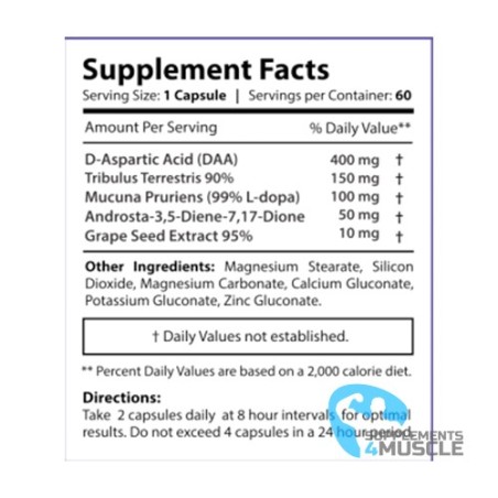 Core Labs PCT RX 60 Kapseln Ergänzungen | Supplements4muscle
