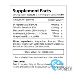Core Labs PCT RX 60 Kapseln Ergänzungen | Supplements4muscle