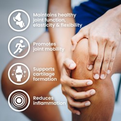 ULTRAVIT Glucosamine Chondroïtine MSM 90 tabbladen Supplementen|S4M