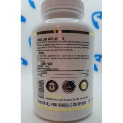 Hammer Labz Mass LGD-3033 60 caps Integratori | S4M