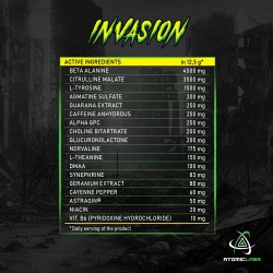 ATOMIC LABS Invasion 312,5 g