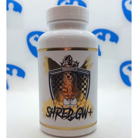 Hammer Labz Shred GW+ 60 caps Integratori | S4M