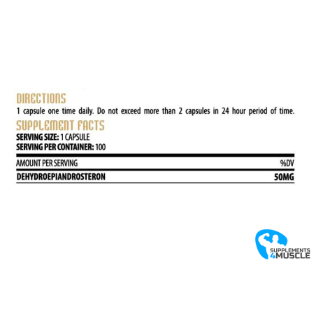 Hammer Labz DHEA Max 100 caps | Supplements4muscle
