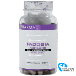 Pharma X Fadogia 90 Kapseln Nahrungsergänzungsmittel | Supplements4muscle