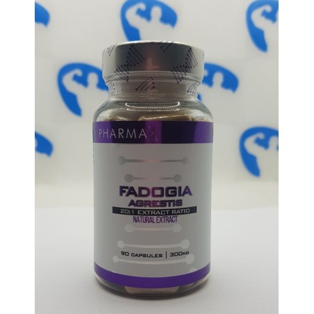 Pharma X Fadogia 90 kapslar Kosttillskott | Kosttillskott4muscle