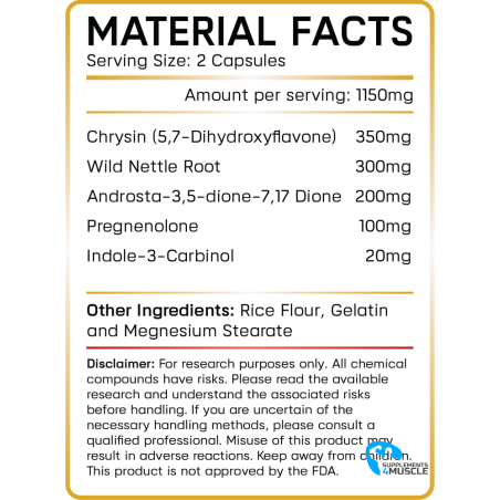 GynSyn Labs Estro-Syn 60 capsule