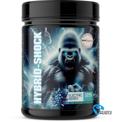 Synful Hybrid Shock 395 g