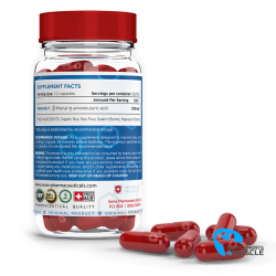 Swiss Pharmaceuticals Phenibut 120 kapslar