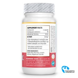 Deutsche Medico Stenabolic SR9009 90 Kapseln