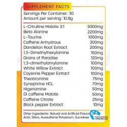 GynSyn Labs Diabolic Thermo 324 g