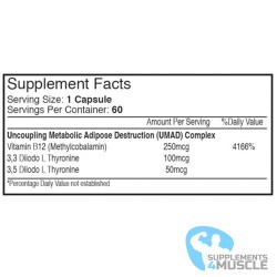 iForce Nutrition TT-33 | iForce Nutrition TT-33 Supplementen