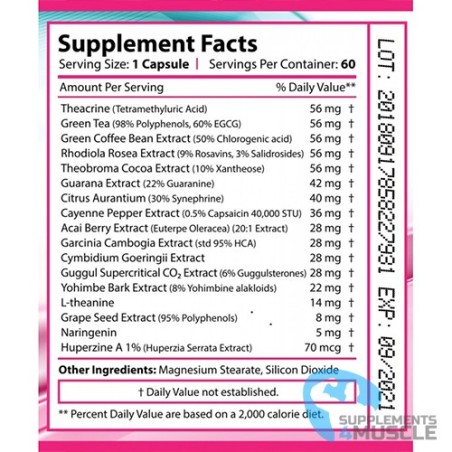 Revange Nutrition Latina Lean | Supplements4muscle