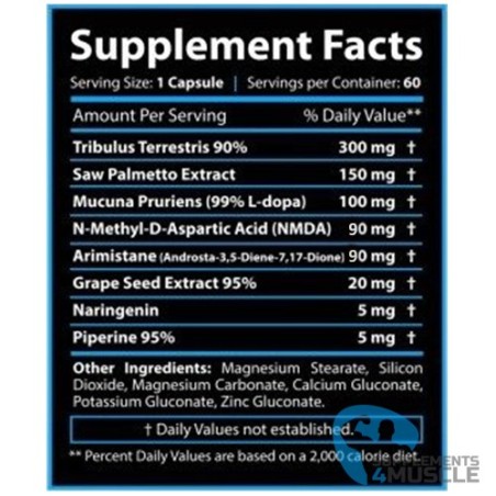 Core Labs X PCT Pro 60 Kapseln Ergänzungen | Supplements4muscle