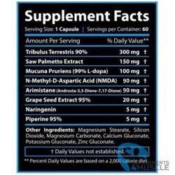 Core Labs X PCT Pro 60 Kapseln Ergänzungen | Supplements4muscle