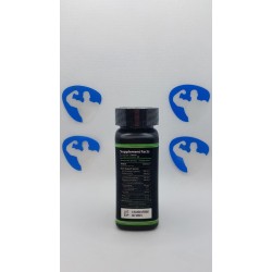Revange Tudca Maxx 60 caps Integratori | Supplements4muscle