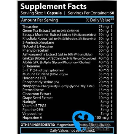 Gehirn Pro 60caps Ergänzungen | Supplements4muscle