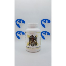 Hammer Labz Rad Strength 60caps | Supplements4muscle