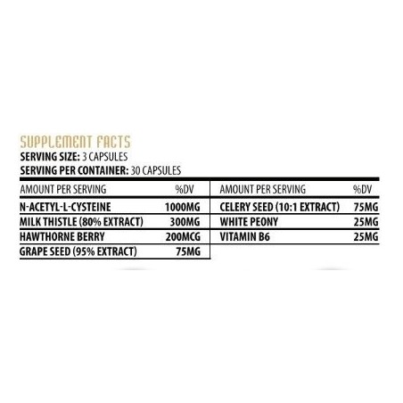 Hammer Labz LiverShield 90caps | Supplements4muscle