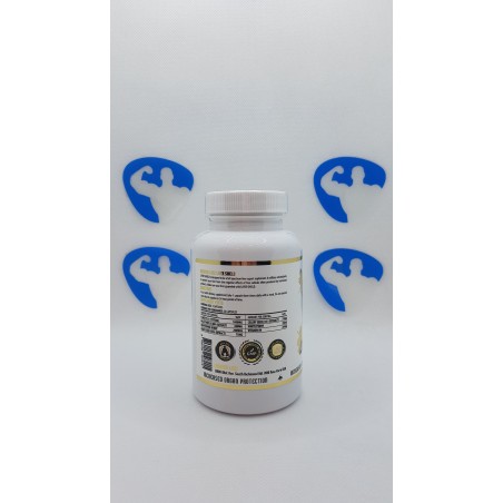 Hammer Labz LiverShield 90 kapslar | Kosttillskott4muscle