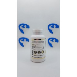 Hammer Labz Tudca Shield 60caps | Supplements4muscle